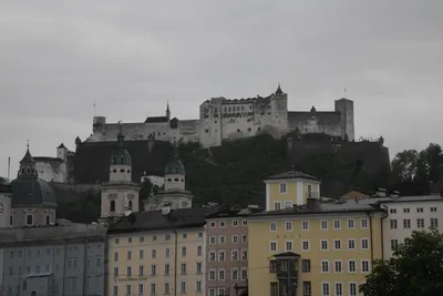 DSC_6139 (Large).JPG